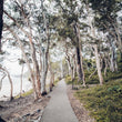 Load image into Gallery viewer, i4 Triathlon Training Camps in Noosa Queensland